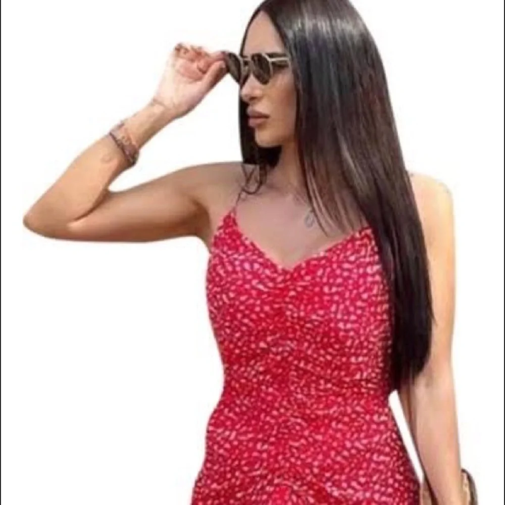 Bloggers Favorite Zara NWT Dress Soldout S - Picture 4 of 5